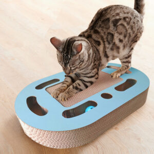 Cat Interactive Scratcher